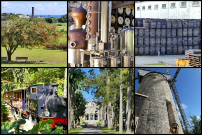 The Industrial Heritage of Barbados: The Story of Sugar and Rum (T)
